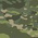 Pocket Wallet, Custom Gear, Multicam Tropic