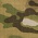 Pocket Wallet, Custom Gear, Multicam
