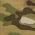 Pocket Wallet, Custom Gear, Multicam
