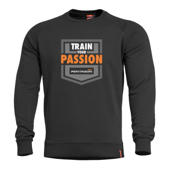 Hawk Sweater Train Your Passion, Pentagon