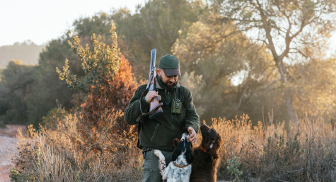 Choosing your first hunting dog