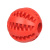 Dental Ball for Dogs, Dogtrace, Red, S