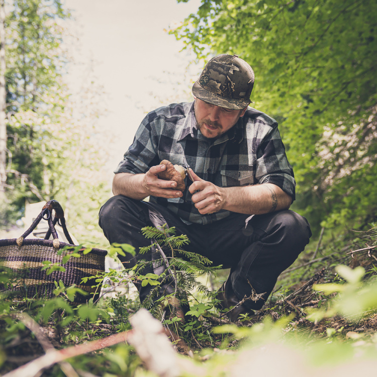Folding Knife Asada, Fine Edge, Micarta Scales, Gerber