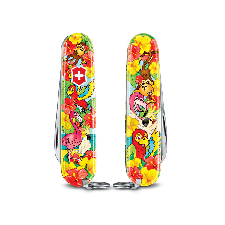 My first pocket knife - Parrot, Victorinox