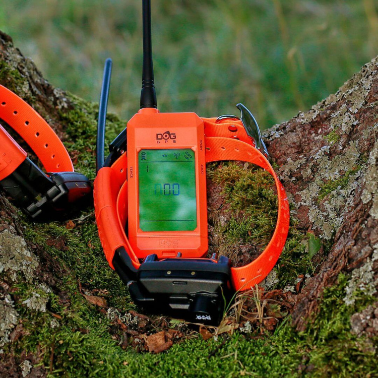 Vyhledávací a výcvikové zařízení se zvukovým lokátorem pro psy DOG GPS X25TB Short, lokalizace až 19 psů, Dog Trace