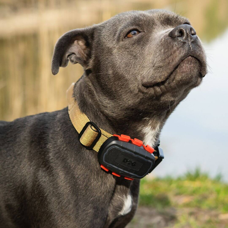 Tracker pro psy DOG GPS Ultra, Dogtrace