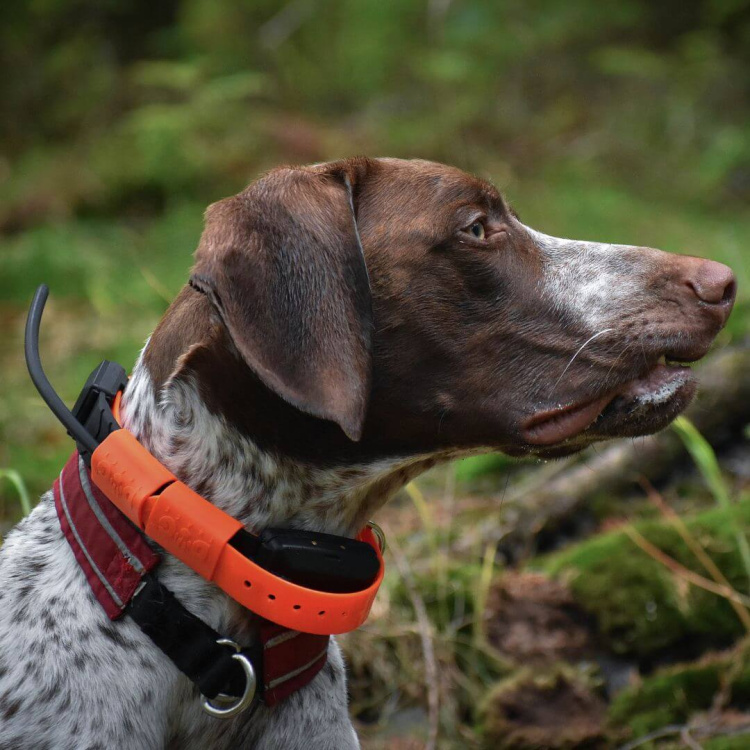 Vyhledávací a výcvikové zařízení pro psy DOG GPS X30T, lokalizace až 13 psů, Dog Trace