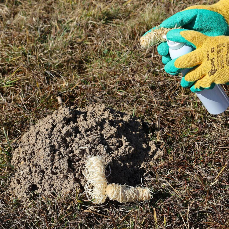 PACHO-LEK® Scent concentrate for Moles with Scent Carriers