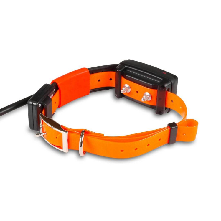 Collar for an Additional Dog: DOG GPS X30T Short, Dog Trace