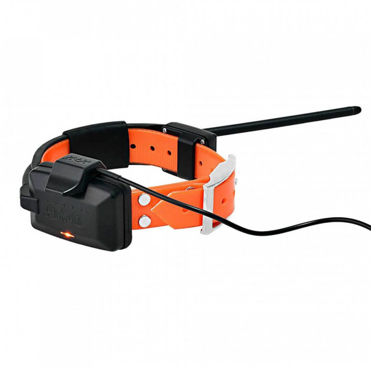Collar for an Additional Dog: DOG GPS X30T Short, Dog Trace
