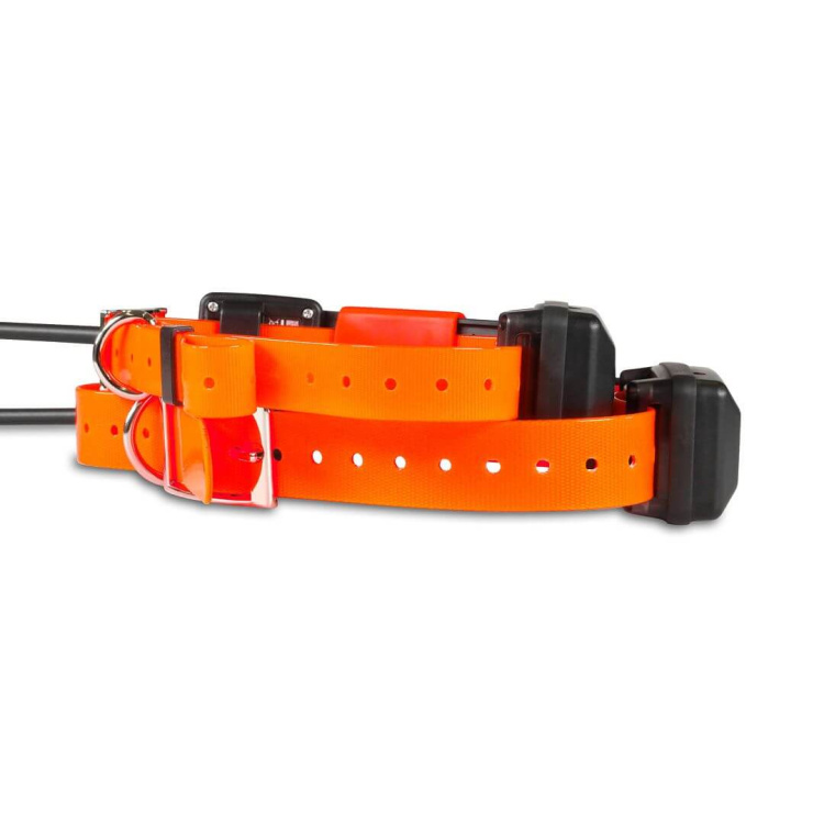 Collar for an Additional Dog: DOG GPS X30T Short, Dog Trace