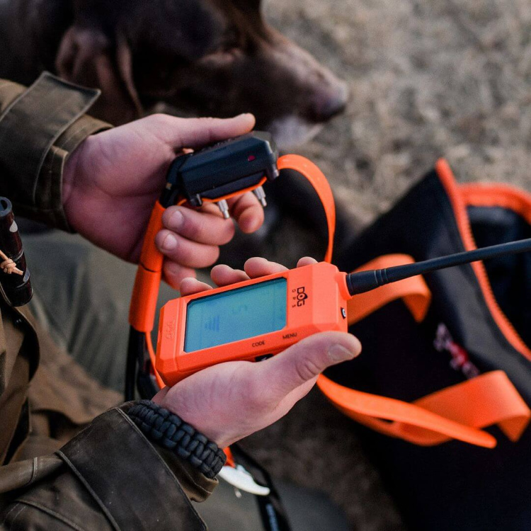 Collar for an Additional Dog: DOG GPS X30T Short, Dog Trace