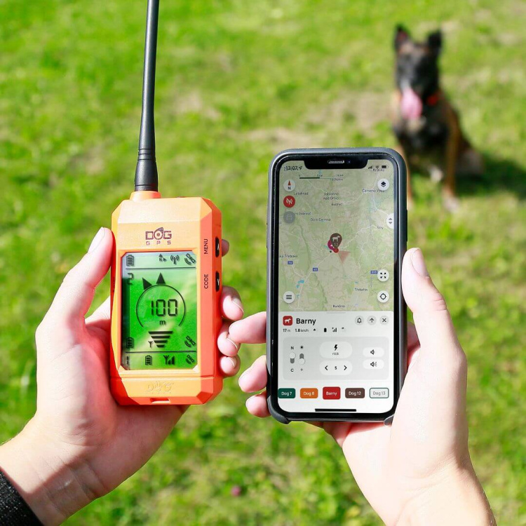 Collar for an Additional Dog: DOG GPS X30T Short, Dog Trace