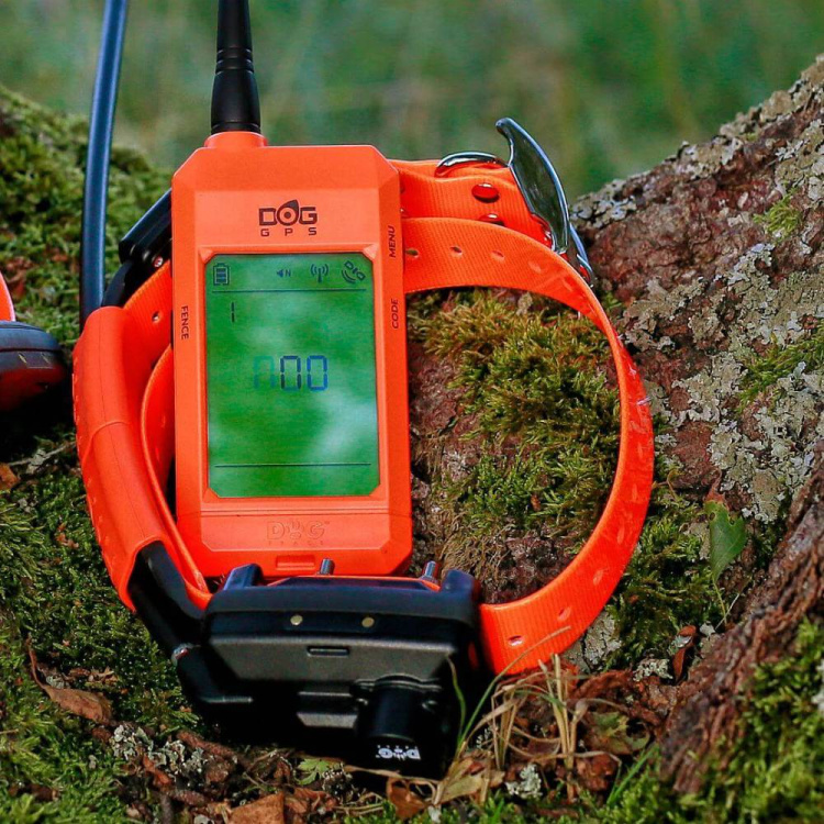 DOG GPS X30TB Additional Dog Collar
