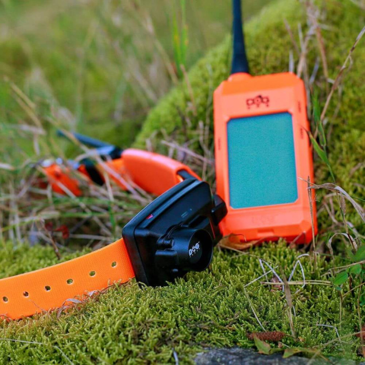 DOG GPS X25B Additional Dog Collar - obojek DOG GPS X25B