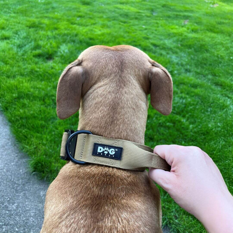 Obojek K9 taktický, Dogtrace