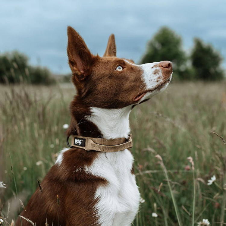 Obojek K9 taktický, Dogtrace