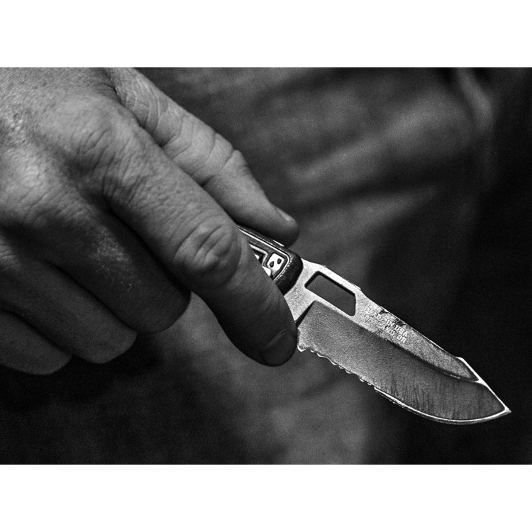 Gerber Order Folding Knife, ComboEdge